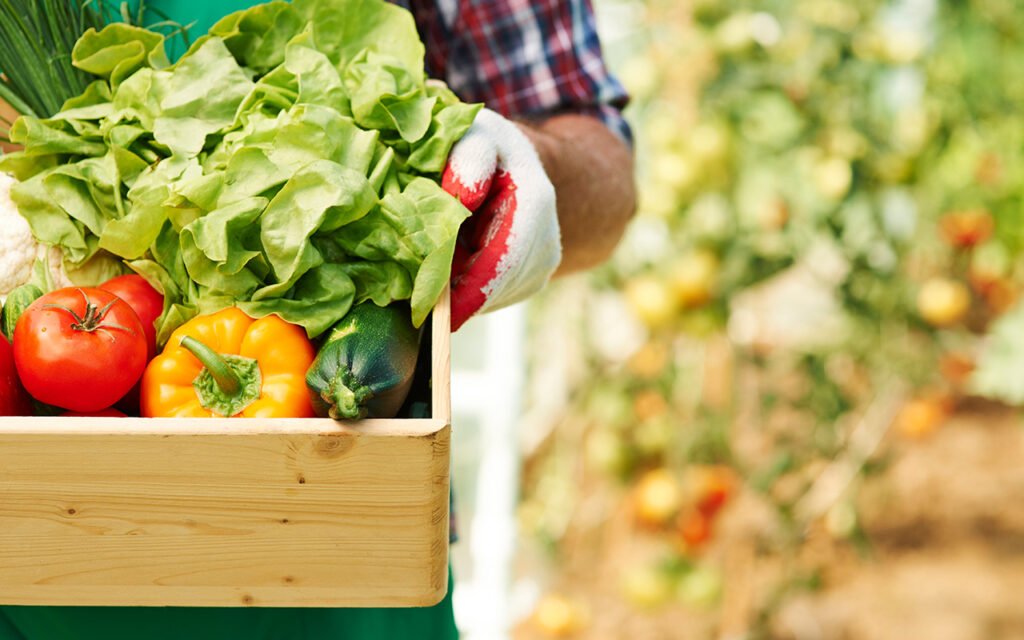 Las frutas y verduras ecológicas se cultivan siguiendo el ciclo natural de las cosechas. sin fertilizantes químicos, pesticidas o transgénicos y suele abastecer a su municipio, provincia o comunidad.