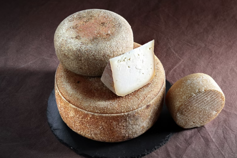 Quesos Elvira García. Queso de leche de cabra ecológica. Quesos artesanales de cabra. Queso artesano de cabra en Ávila. Leche de cabra raza malagueña. Leche de cabra. Yogurt natural de cabra. Kéfir natural de cabra.
