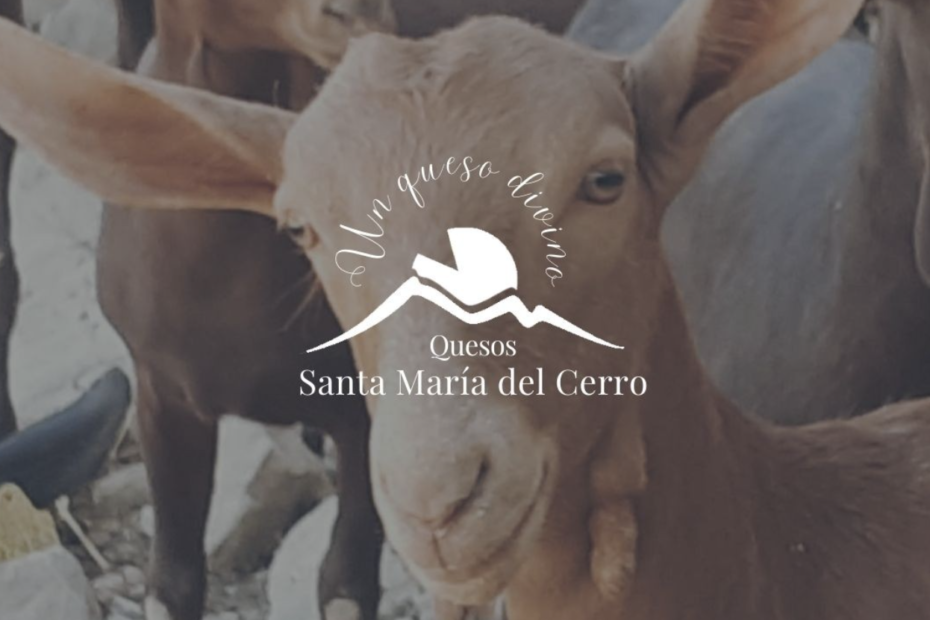 Quesos Santa María del Cerro. Queso de cabra ecológico. Queso de cabra ecológico en Málaga. Auténtico queso de cabras malagueñas. Quesos artesanos. Quesos artesanos en Málaga. Quesos artesanos ecológicos. Quesos artesanos ecológicos en la provincia de Málaga.