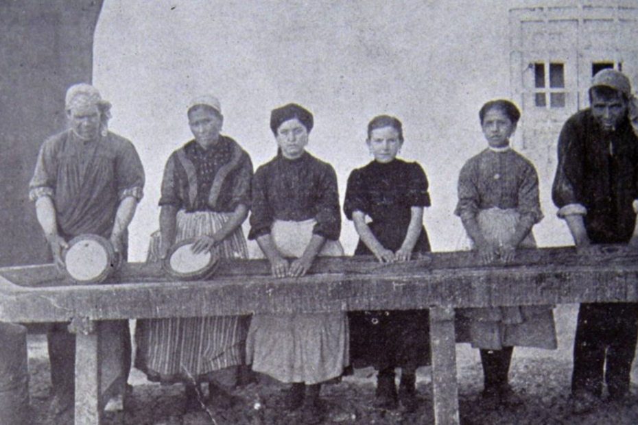 Quesos el Entremiso. Quesos artesanos en albacete. Quesos de leche ecológica de oveja. Leche de oveja de pasto.