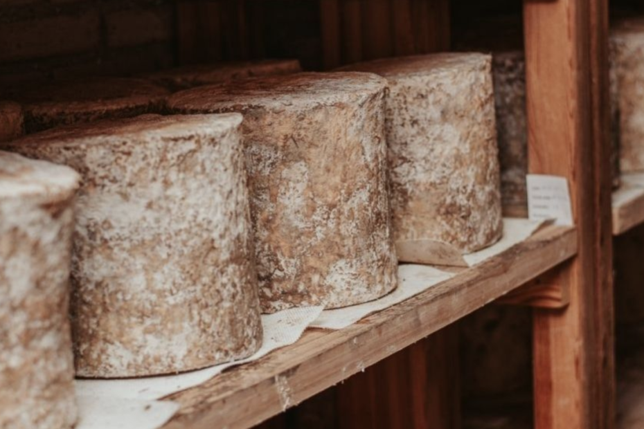 Rey Silo. Queso artesano Asturias. Queso artesanal. queso tradicional asturiano. Queso de pasta blanda. Queso tradicional con corteza natural de Geotricum Candidum. Queso artesano de leche cruda de vaca.